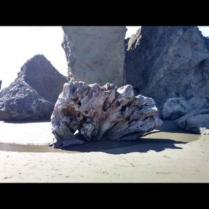 Meet your Posher, Dale